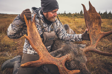 Newfoundland Moose Hunt-Cancellation 2026