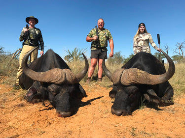 South African Cape Buffalo Safari