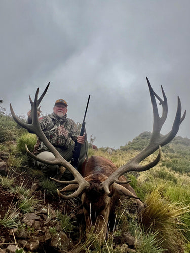 Red Stag - Argentina - Andes Mountains