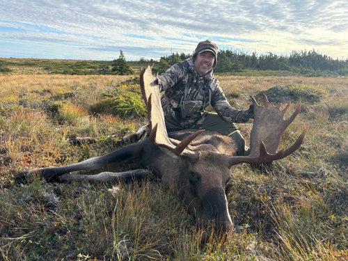 Newfoundland Moose Hunt