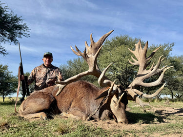 Red Stag - Argentina - La Pampa
