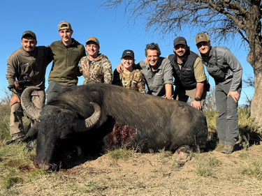 Water Buffalo - Argentina - La Pampa