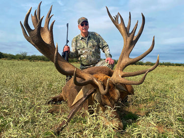 Red Stag - Argentina - La Pampa