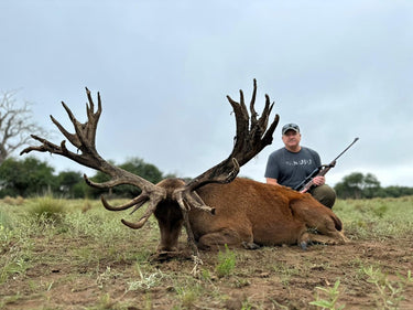 Red Stag - Argentina - La Pampa