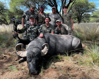 Water Buffalo - Argentina - La Pampa