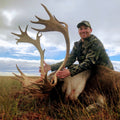 Newfoundland Woodland Caribou