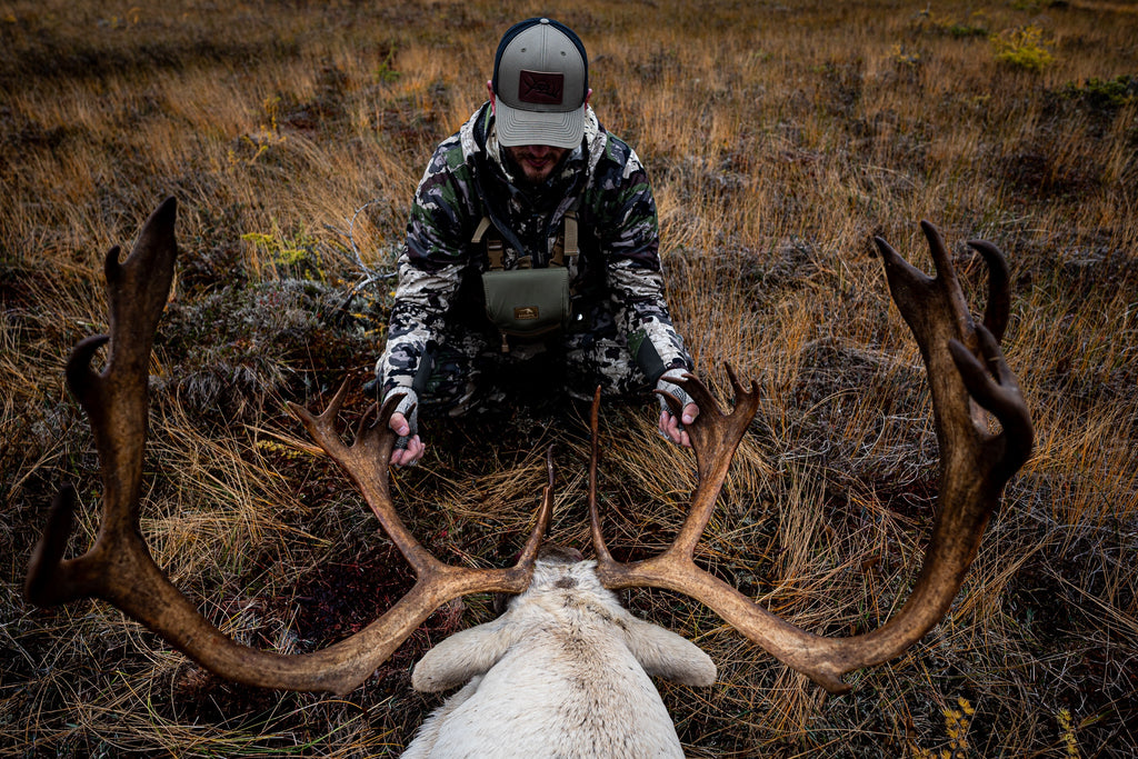 Newfoundland Woodland Caribou