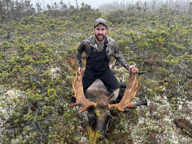 Newfoundland Moose Hunt-Cancellation 2026