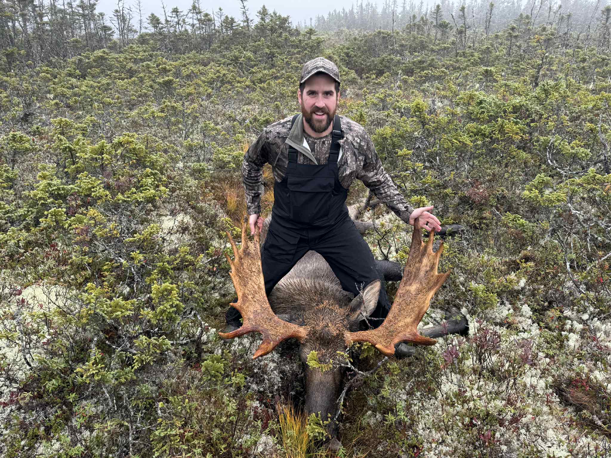 Newfoundland Moose Hunt