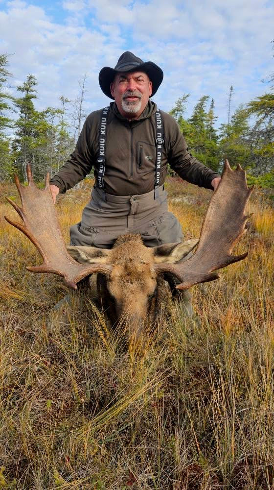 Newfoundland Moose Hunt