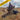 Newfoundland Moose Hunt-Last Minute Opportunity 2026