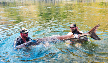 Sturgeon Fishing