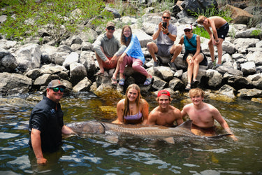 Sturgeon Fishing