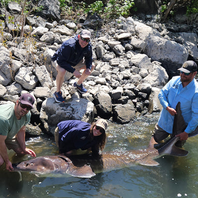 Idaho All Inclusive Fishing Experience