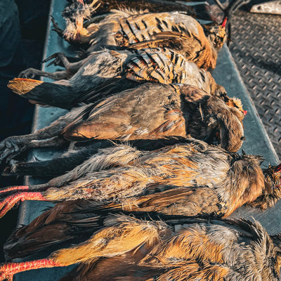 Idaho All Inclusive Fishing Experience