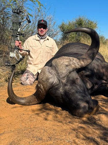 South African Cape Buffalo Safari