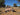 7 Species African Safari Plains Game - Package 1