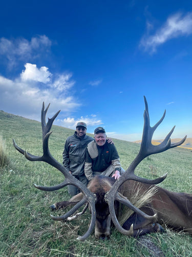 Red Stag - Argentina - Los Andes