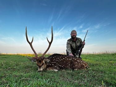 Free Range Axis Deer - Argentina - Northern Territories