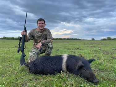 European Wild Boar - Argentina - Los Andes