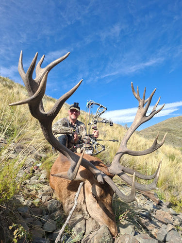 Red Stag - Argentina - Andes Mountains