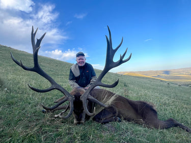 Red Stag - Argentina - Andes Mountains