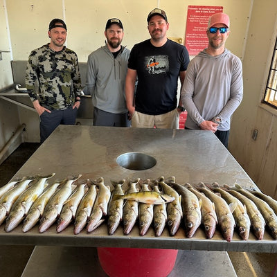 Walleye & Perch Fishing (Summer Boat)