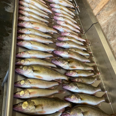 Walleye & Perch Fishing (Snobear)