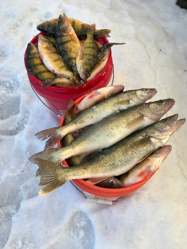 Walleye & Perch Fishing (Snobear)