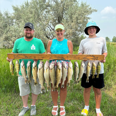 Walleye & Perch Fishing (Summer Boat)