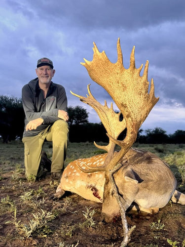 Fallow Deer - Argentina - Los Andes