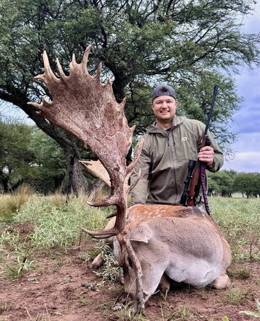 Fallow Deer - Argentina - Los Andes